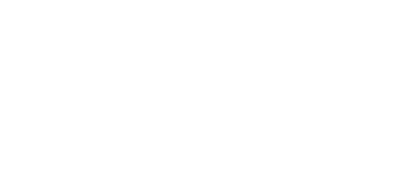 Kane Insurance Group, Inc - Logo 800 White